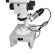 Особенности микроскопа МБС-10